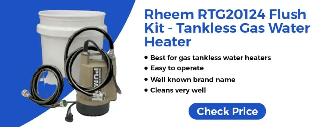 Rheem RTG20124 Flush Kit